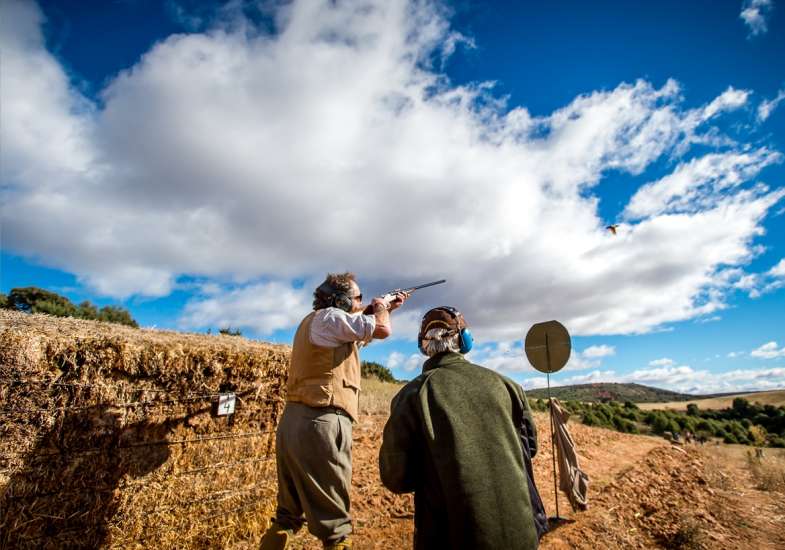 38 Gallery Partridge Shooting In Spain