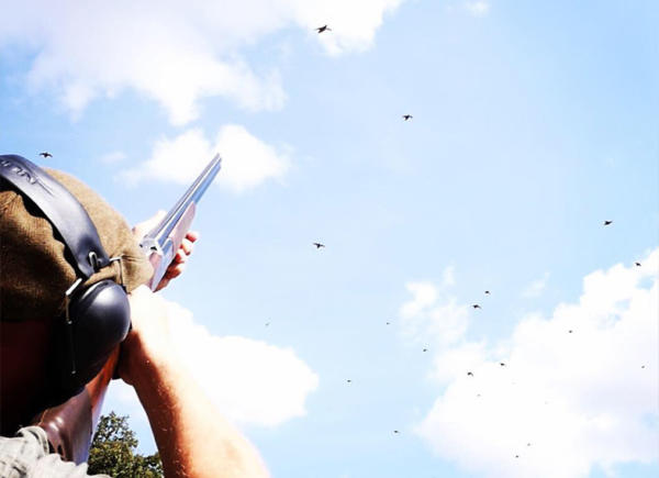 02 Chinchon Partridge Shooting Spain