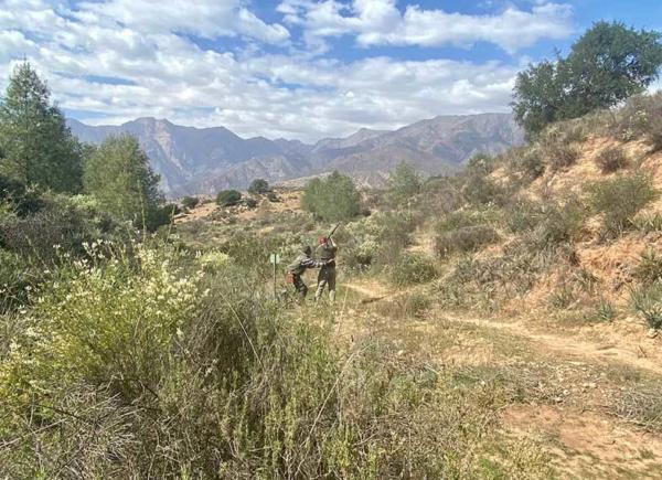 02 Morocco Partridge Shooting Atlas Mountains