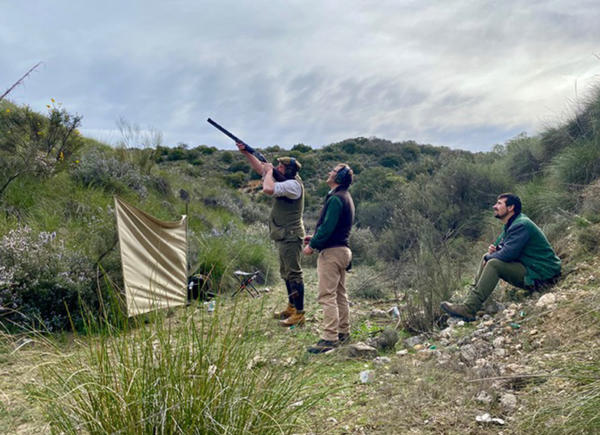 03 Chinchon Partridge Shooting Spain