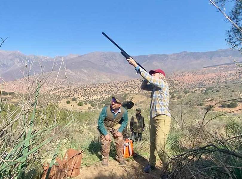 06 Morocco Partridge Shooting Atlas Mountains