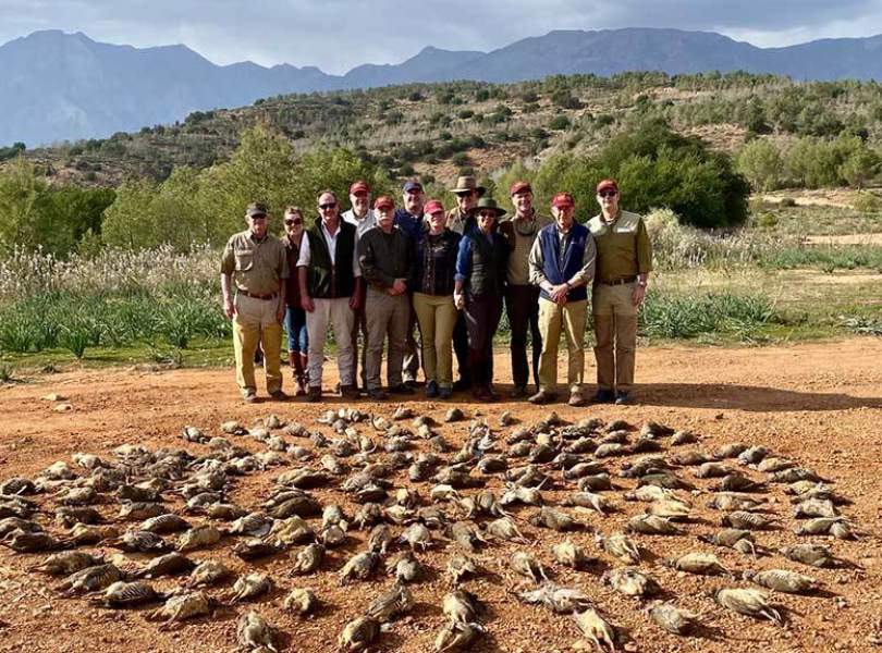 23 Morocco Partridge Shooting Atlas Mountains