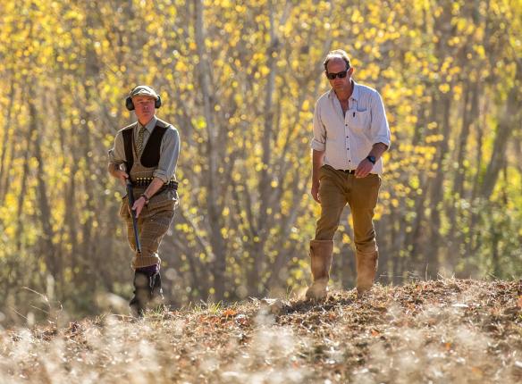 Red Legged Partridge Shooting Spain