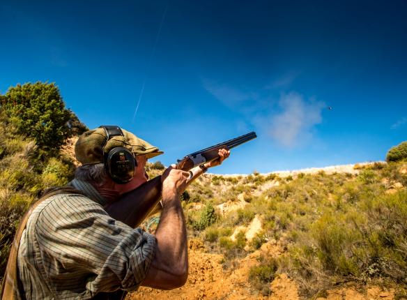 28 Gallery Partridge Shooting In Spain