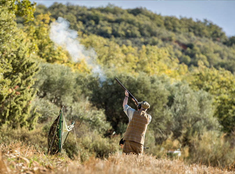 10 Chinchon Partridge Shooting Spain