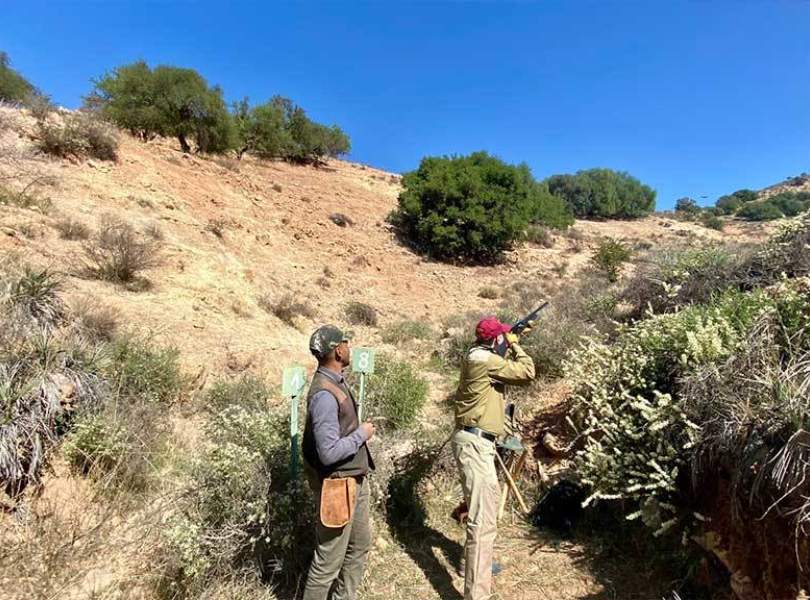 26 Morocco Partridge Shooting Atlas Mountains
