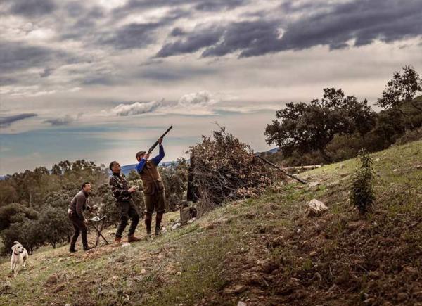 10 Seville Partridge Shooting Spain